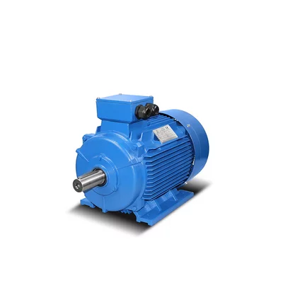 Gietijzeren elektromotoren  4kW - 315kW