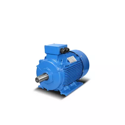 Gietijzeren elektromotoren 4kW - 500kW